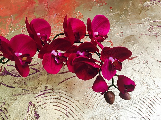 Kde se uplatní umělé orchideje
